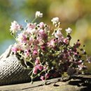 시온재단 안동재활원 이미지