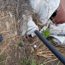 공이농장 이미지