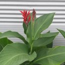 큐리농장 이미지