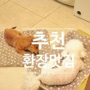 아이스크림스토리진접 | 진접 강아지 간식 환장맛집 애견수제간식, 직접 참여한 진접 원데이클래스 후기