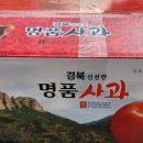 의성표고