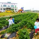 경기엘림어린이집 이미지