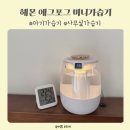헤몬 | 헤몬 에그포그 미니가습기 후기 아기 있는 집 겨울 필수템 조용해서 더 만족