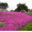 읍사무소앞 이미지