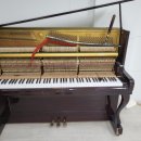 에꼬르앙팡어린이집 이미지