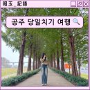 읍사무소앞 | 천안 근교 공주 당일치기 여행 (메타세콰이길/북경탕수육/옛공주읍사무소/가가책방/바므/부자떡집)