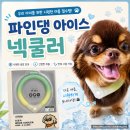 뽀송