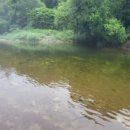 물마루 캠핑장 이미지