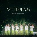#𝙄𝙧𝙧𝙚𝙥𝙡𝙖𝙘𝙚𝙖𝙗𝙡𝙚_𝘾𝙝𝙚𝙬𝙞𝙣𝙜 💚🌈 NCT DREAM 달글 🌈💚 이미지