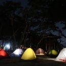 그로브(grove)캠핑 이미지
