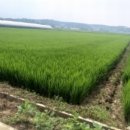 본당리마을회관 이미지