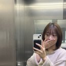 춘천염색방