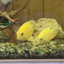 동탄이화유치원 이미지