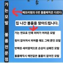 백산초교 | 부산 뿌리 볼륨도 메모리 펌으로 빵빵하게