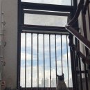 커피타는 고양이 | 미아사거리 고양이카페 ‘커피타는고양이’