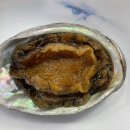 성덕회포차 | [광주 수완지구] 수완지구 횟집 성덕회포차 막회, 우럭 맛집 추천(내돈내산)
