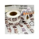 밈인테리어
