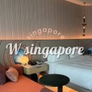 월드킹 태양광발전소 | 싱가포르 호텔 추천 | 럭셔리 감성의 센토사 W호텔 , 새롭게 리노베이션된 객실·위치·웰컴서비스까지