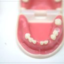 햇살좋은치과의원 이미지