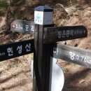 장풍숲입구 이미지