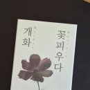 꽃피우다 | #6. [4인 머더미스터리] 개화 꽃피우다 후기 (스포X)