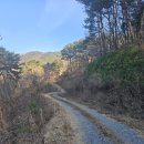 🌿 《2026년01월 05일-산으로 시작해 은행으로 끝난 하루 》