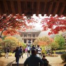 영주수도리김뢰진가옥 이미지