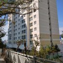 하단동1218 이미지