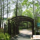 양재천 (연인의거리) 이미지