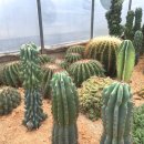 석주농장 이미지