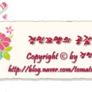 센세이션 이미지