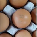 계림유통 이미지