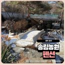 송림펜션 | 충주 송림농원펜션 백일호 1층 후기 대가족 모임에 적합한 펜션