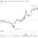 (주)판토스 - 1427 | (주)판토스