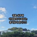 금문왕손짜장 이미지