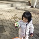 사랑해묘 Daum카페