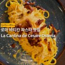 Osteria12 | 로마 바티칸 파스타 맛집, 여태 먹은 까르보나라는 가짜였다 | La Cantina de Cesare Osteria