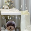 오마이로지
