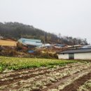 옥동리마을회관 이미지