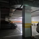 다이소 대전상대점 이미지