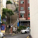 성원칼국수 티스토리