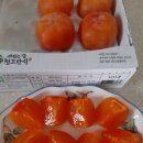 서산-동부-비상-9 이미지