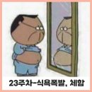 둔산중로-23 | 임신 23주차-식욕폭발, 남당항대하축제, 츄로츄로, 임신구토