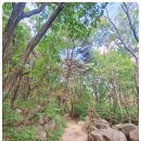 호텔루나 이미지