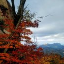 11월1(토)어딜 내놔도 뒤지지 않는 북한산 단풍명소 부황사지 단풍산행(오전10시) 마감 이미지