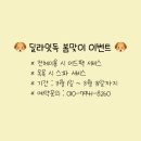 딜라잇독 이미지