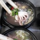 마리갈비탕 이미지