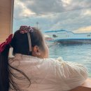 성산등용로 | 제주 성산 여행 우도잠수함 체험 후기 아이들 좋아하는 바닷속여행