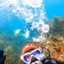 와이키키다이버스 이미지