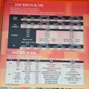 월드컵경기장 | 서귀포 월드컵경기장 제주fc축구경기 본 후기 (+ 주차 음료반입